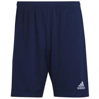 Pantalones Cortos Adidas Entrada 22 Training Azul