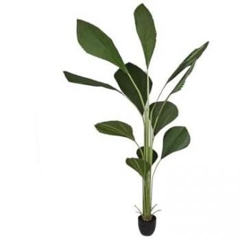 Planta Decorativa de PVC Licuala Romimex 20 x 180 x 20 cm