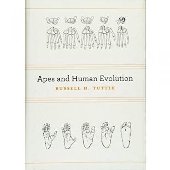 Apes and Human Evolution