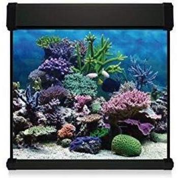 ICA KXMCU6N Kit Aqua Lux Pro 190 con Filtro Interior, Negro