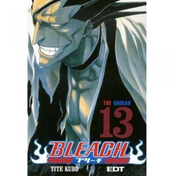 Bleach 13