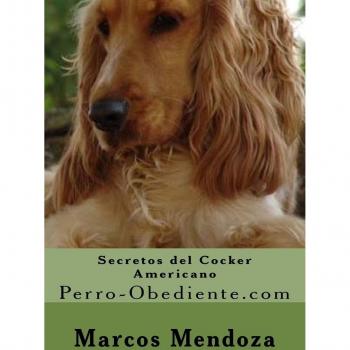 Secretos del Cocker Americano: Perro-Obediente.com
