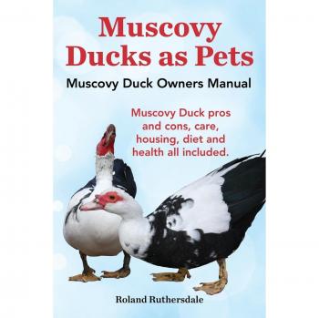 Muscovy Ducks as Pets. Muscovy Duck Owners Manual. Muscovy Duck Pros and Cons, Care, Housing, Diet and Health All Included.
