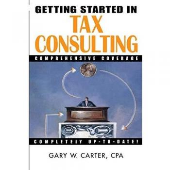 Beginner's Guide to Tax Consulting: Essential Strategies and Insights by Gary W. Carter