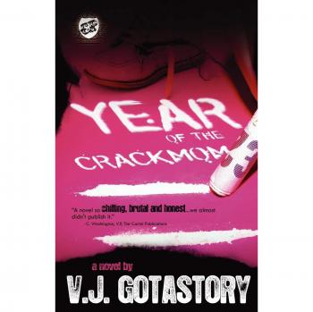 Year of the Crackmom: A Gripping Novel on Addiction and Family Struggles