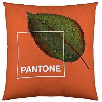 Pantone Funda de cojín Reversible Naturel 50x50 cm