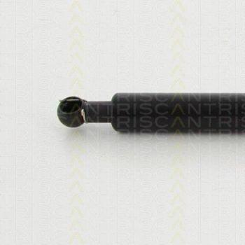 Triscan 8710 40229 resorte de gas para maletero, de baúl