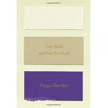 Too Much and Not the Mood: Essays