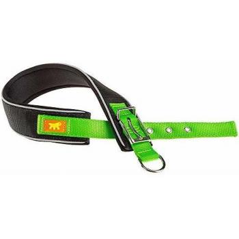 Collar Daytona Comfort CF40/53 Verde