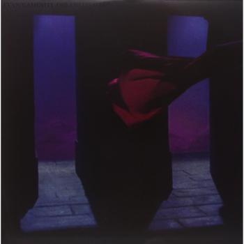 Dreamless Sleep Vinyl Record