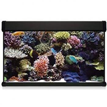 ICA KXM100N Kit Aqua Lux Pro 100 con Filtro Interior, Negro