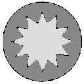 Reinz 14-32053-01 DANA