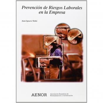 Prevención de riesgos laborales en la empresa