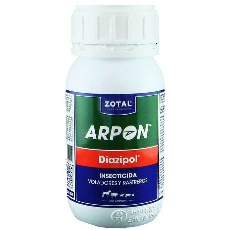 Imagen Principal