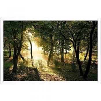 Metal cartel Cartel de chapa Hojalata sesión Sun Beams Wood Path Trees Awakening 42423 Retro Vintage Pared Decoración by hamgaacaan