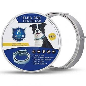 GLEADING Collar Anti Pulgas y Garrapatas para Perros y Gatos, Fórmula Natural, Resistente al Agua y Ajustable-62cm, Efectivo Prevención por 8 Meses de Pulgas y Garrapatas