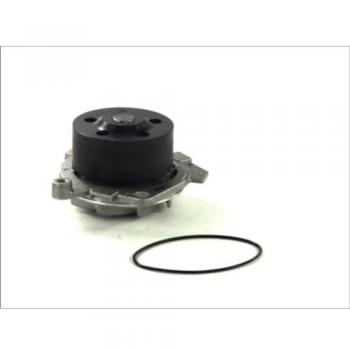Bomba de agua THERMOTEC D1D019TT con junta