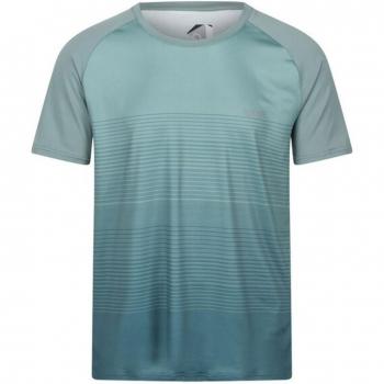 Camiseta de Manga Corta Hombre Regatta Pinmor Aguamarina