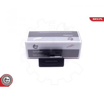 Interruptor de cerradura de puerta ESEN SKV 38SKV823