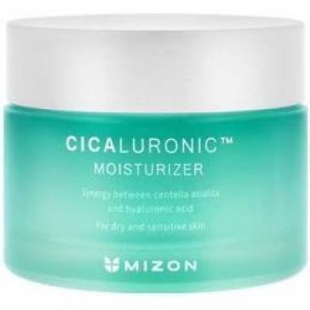 Mizon Cicaluronic Moisturizing Cream 120 ml - Nourishing and moisturizing cream for very dry and sensitive skin