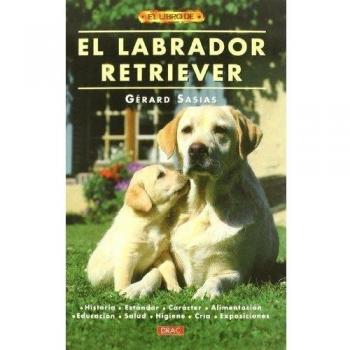 El Labrador Retriever