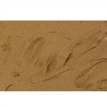 Vallejo Textura Diorama FX Tierra Marrón 26.219 200ml