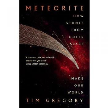 Meteorite: How Stones From Outer Space Made Our World