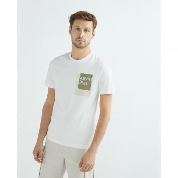 Calvin Klein Men's Short Sleeve Overlay Box Logo T-Shirt