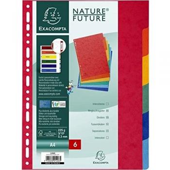 Exacompta Colorspan 1406E - Juego de 6 separadores de cartulina lustrada DIN A4, colores vivos
