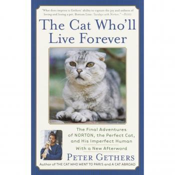 The Cat Who'll Live Forever: The Final Adventures of Norton, the Perfect Cat, and His Imperfect Human