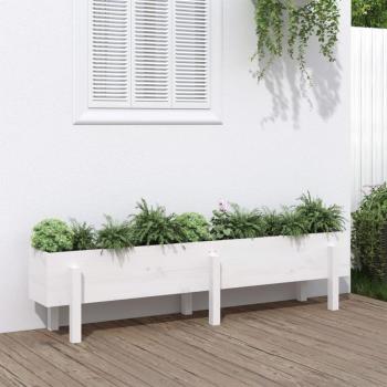 Arriate elevado de jardín madera maciza pino 160x30x38 cm Color Pino natural, Pino blanco, Pino gris