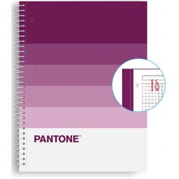 Cuaderno Escolar Pantone A4 Microperforado 80 Hojas Cuadriculado 5x5 Fantasy Speak - Escolofi