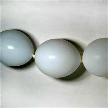 Globos blancos cadena pequeños