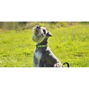 Collar para Perros con Diseño de Aguacates Talla XS