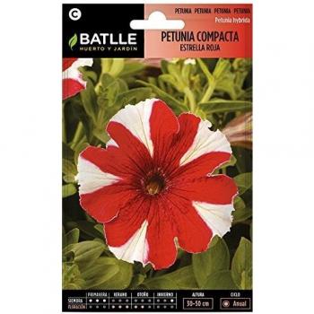 Semillas de Flores - Petunia Compacta estrella roja - Batlle