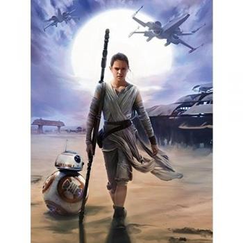 Consalnet Descargue VEA DISEÑO 2758 Star Wars Episodio VII La Fuerza Wallpaper Reloj Polar Papel 2 Multi Panels 206 x 275 cm