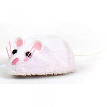 Hexbug- Mouse Cat Toy, colores surtidos