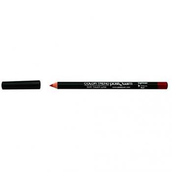 Postquam Lápiz de Labios Lipliner Intense Red 3g