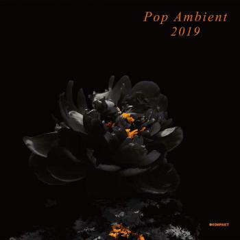 Pop Ambient 2019 - Double Vinyl LP Compilation