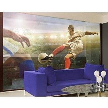 XXL Mural de ventana Stadium-Jubilation, Dimensione:380cm x 432cm
