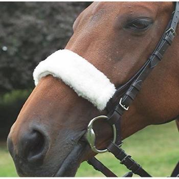 Shires Hackamore Funda o para cabezada, NAT