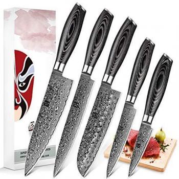 XINZUO Set Cuchillo Cocina 5 Piezas Damasco Japonés 67 Capas Profesional Cuchillo Chef 20cm Cuchillo Santoku 17,8cm Cuchillo Trinchar 20cm Cuchillo Uso Cuchillos Pelar Pakkawood Mango - Ya Serie