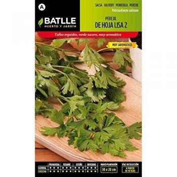 Semillas de Perejil Común de hoja lisa 2