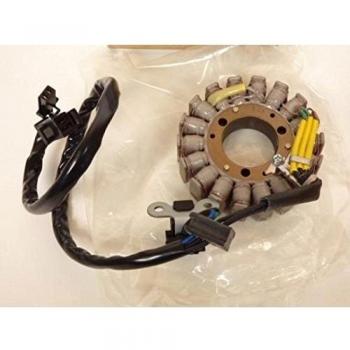 Estátor D encendido moto Suzuki 125 Rv Van Van 2004 32101 - 13 G10 - 000)