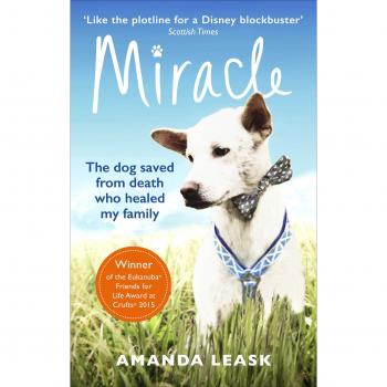 Miracle