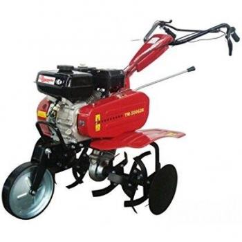 CAMPEON 641X500 - Motoazada Tm500 Gr2 6,5 Cv 80Cm 196