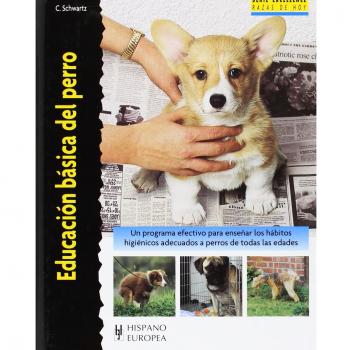 Educación básica del perro