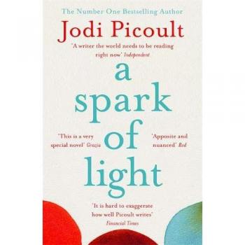 Libro A Spark of Light: La emocionante lectura imprescindible del No.1 Bestseller del Sunday Times!