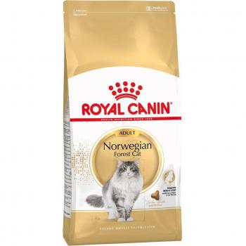 Royal Canin Norwegian Forest Adult Dry Cat Food 2kg