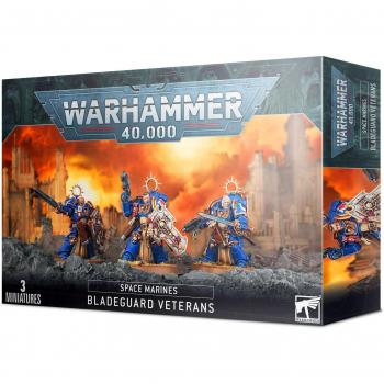 Warhammer 40,000 - Space Marines: Bladeguard Veterans